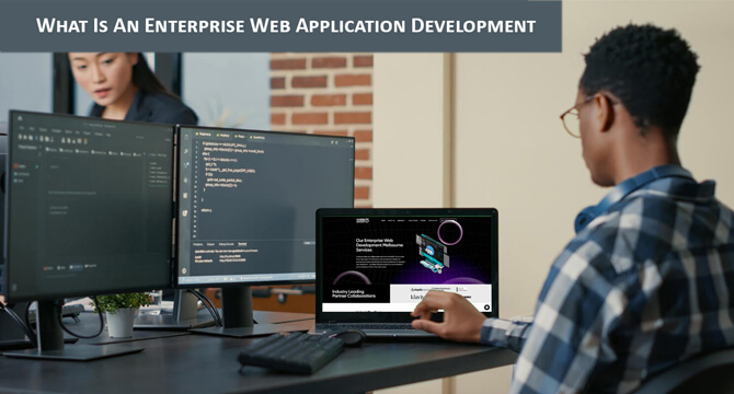 What-is-an-enterprise-web-application-development