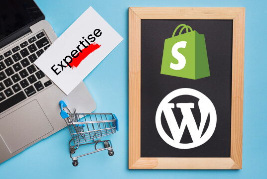 Expertise in both Shopify and WordPress-01