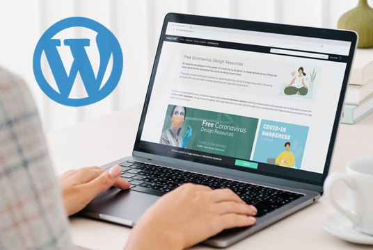 WordPress: Themes, plugins, and extensive customisation capabilities